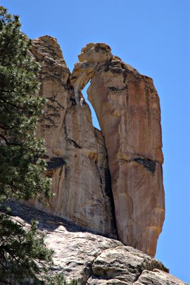 ElMorrow-WoodpeckerRock.jpg